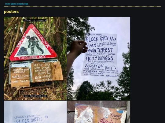 projects/posters screenshot