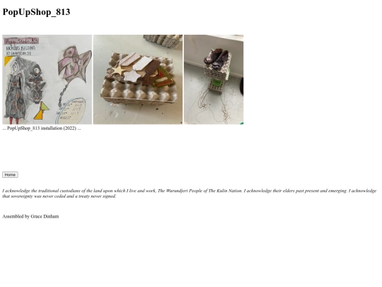 Popupshop screenshot
