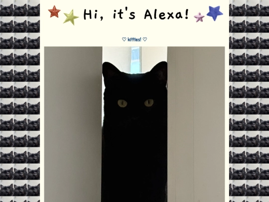 kitty screenshot