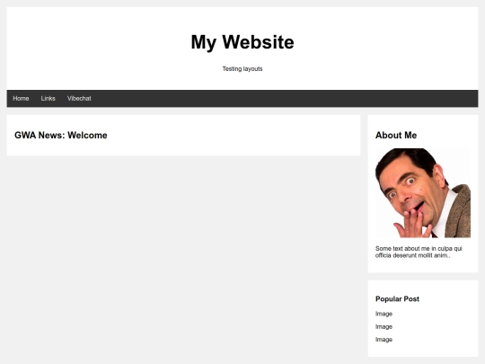 css screenshot