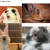 yawning_bunnies.yorniq.xyz avatar