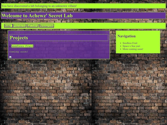 projects screenshot