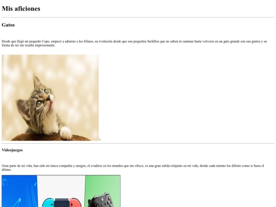 Misaficiones/misaficiones screenshot