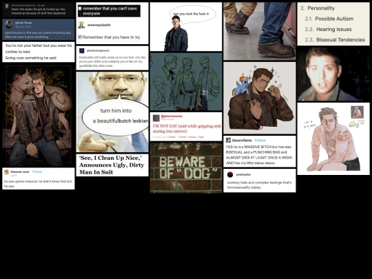 webweave/dean screenshot