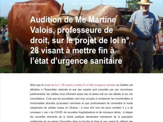 audition-martine-valois-projet-loi-fin-urgence-sanitaire screenshot