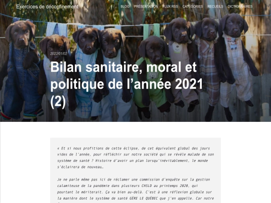bilan-sanitaire-moral-et-politique-2021-2 screenshot