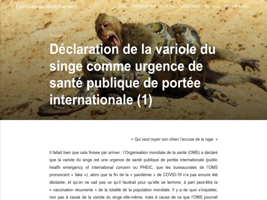 declaration-de-la-variole-du-singe-comme-urgence-de-sante-publique-de-portee-internationale-1 screenshot