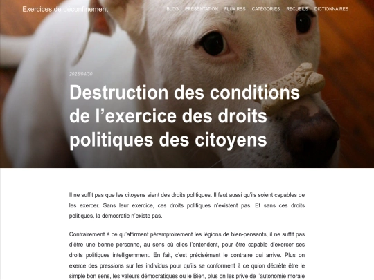 destruction-des-conditions-de-lexercice-des-droits-politiques-des-citoyens screenshot