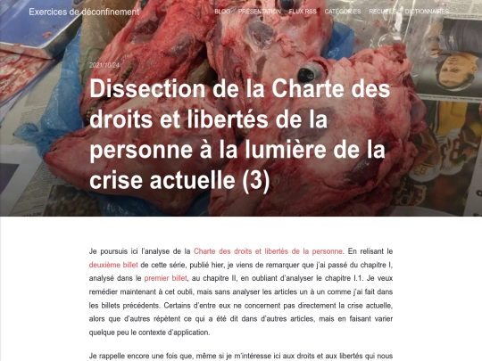 dissection-charte-des-droits-libertes-3 screenshot