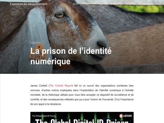 la-prison-de-lidentite-numerique screenshot