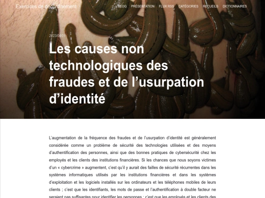 les-causes-non-technologiques-des-fraudes-et-de-lusurpation-didentite screenshot