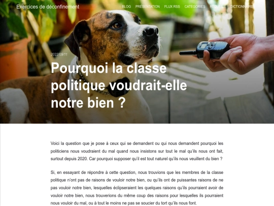 pourquoi-la-classe-politique-voudrait-elle-notre-bien screenshot