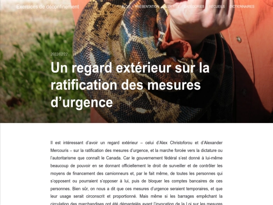 un-regard-exterieur-sur-la-ratification-des-mesures-durgence screenshot
