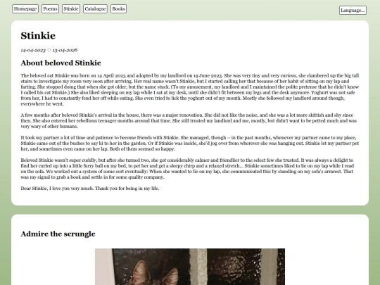 en/stinkie screenshot