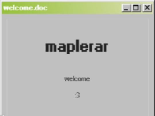 mapleads screenshot