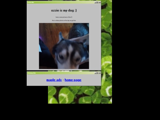 ozzie screenshot