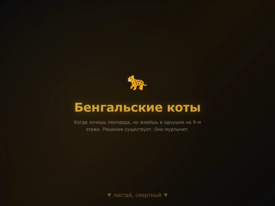 bengal-cats screenshot