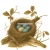 cowbird.yorniq.xyz avatar
