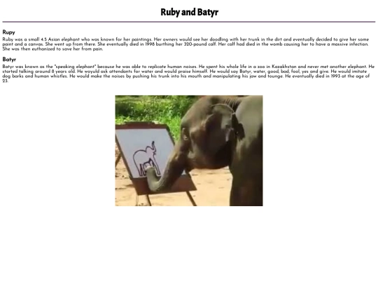Ruby screenshot