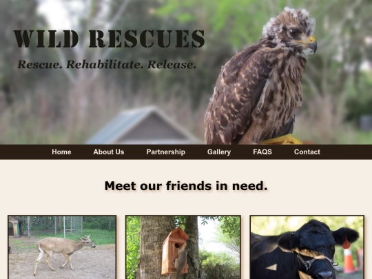 gallery screenshot