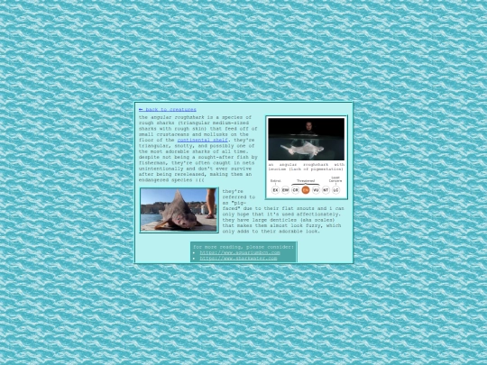 shrines/creatures/angular-roughshark screenshot