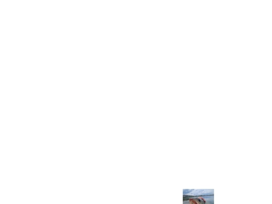 backup screenshot