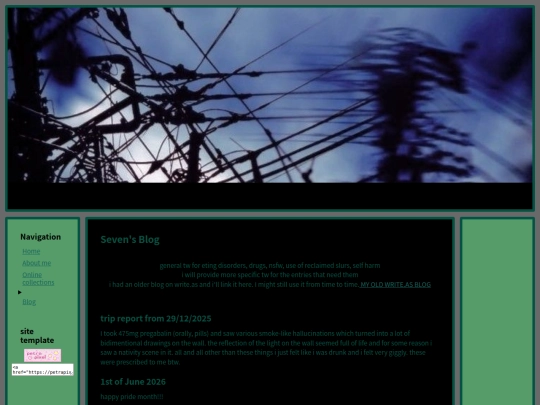 blog screenshot