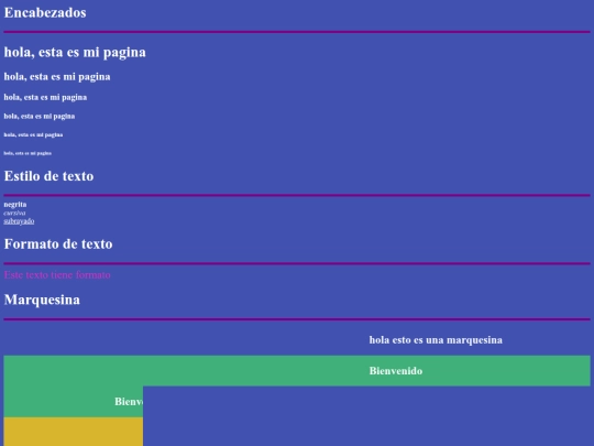 plantilla screenshot