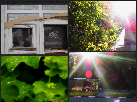 photos/photos screenshot