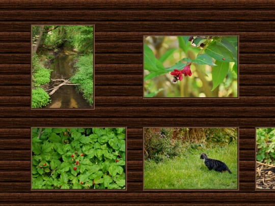 projects/gallery/1 screenshot
