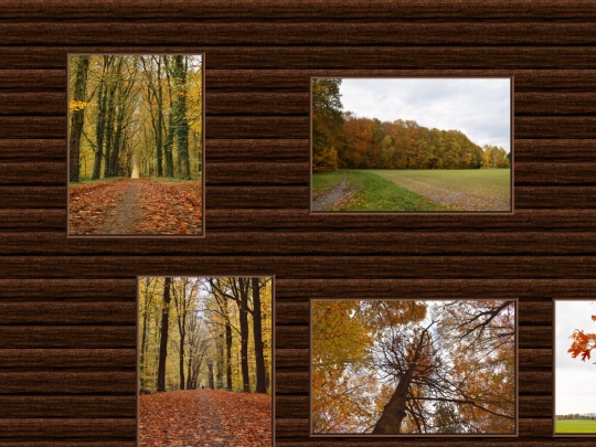 projects/gallery/2 screenshot