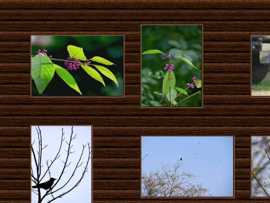 projects/gallery/5 screenshot