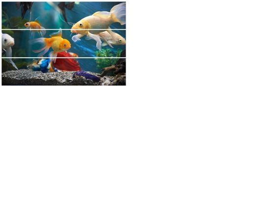Puzzle screenshot