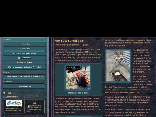 essay screenshot