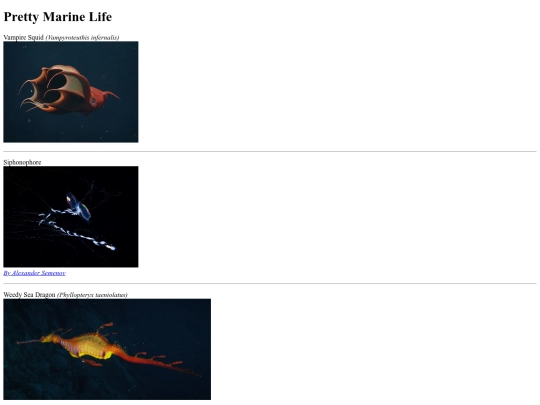 gallery screenshot