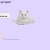 pepocat.yorniq.xyz avatar