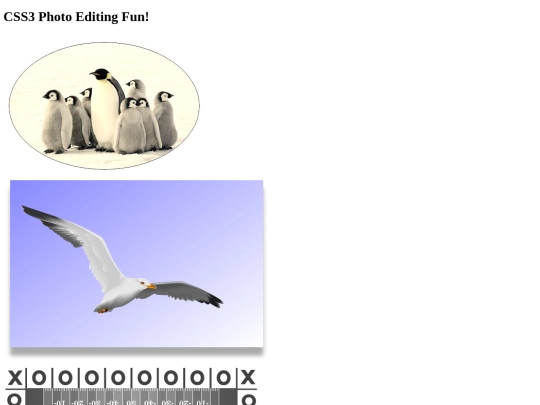 css3-photo screenshot
