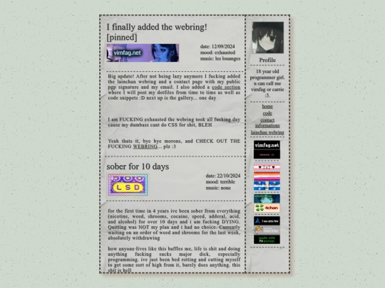 blog screenshot