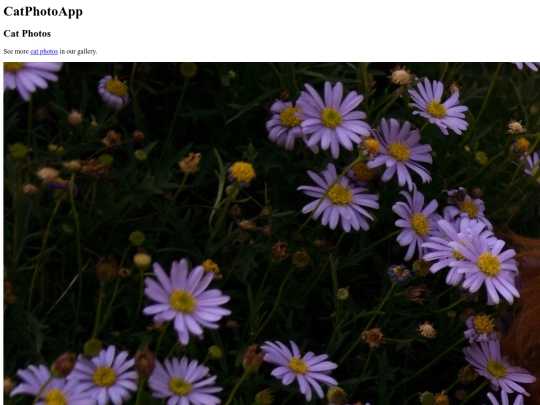 htmlcatwebcode screenshot
