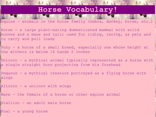 horsevocab screenshot