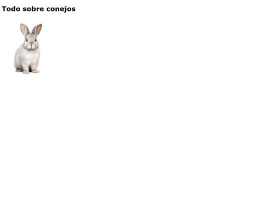 ejb/conejos screenshot