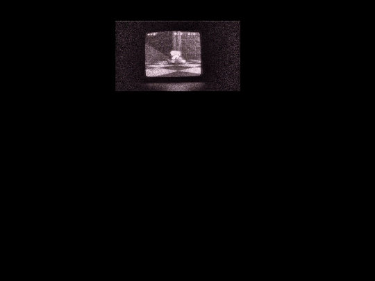 page screenshot