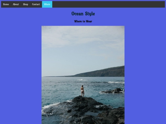 Remade 5 Page Website/Help screenshot