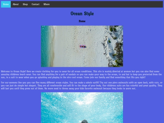Remade 5 Page Website/home screenshot