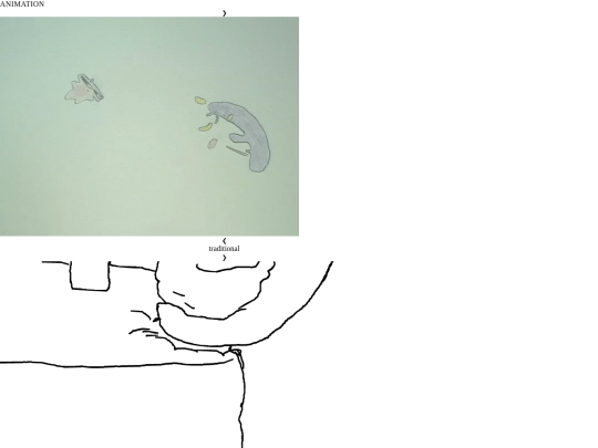 animation screenshot