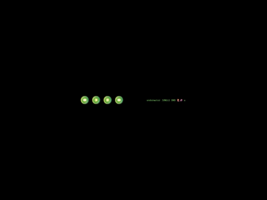 player screenshot