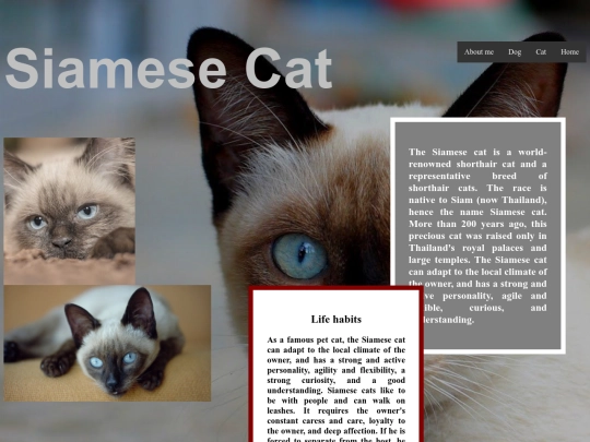 siamese screenshot