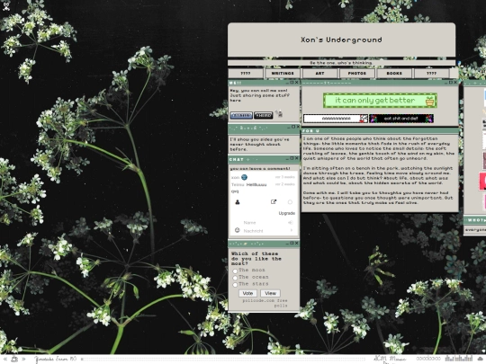 copy screenshot