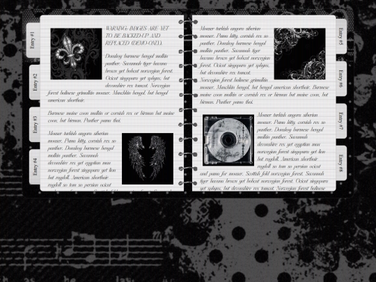 pages/diary screenshot