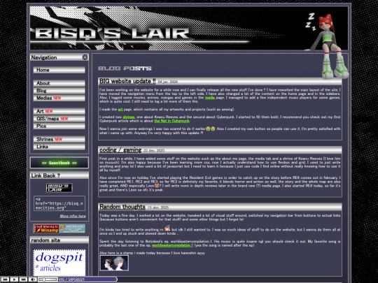 blog screenshot